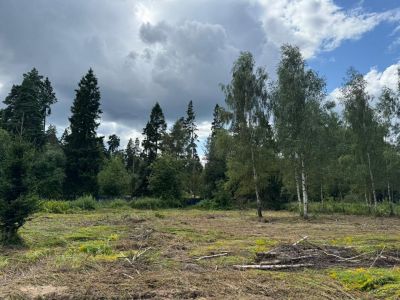 photo 68e52124e789e_thumb.jpg