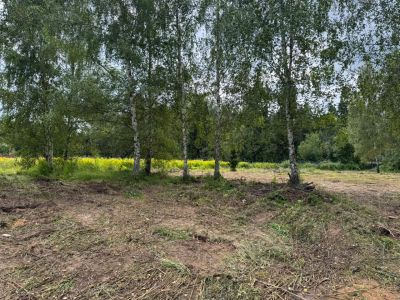 photo 68e5212d0b4f8_thumb.jpg