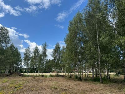 photo 68e5212dd4ef5_thumb.jpg