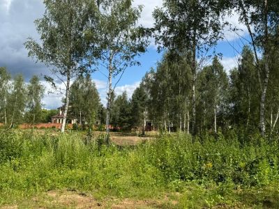 photo 68e5213e81d81_thumb.jpg