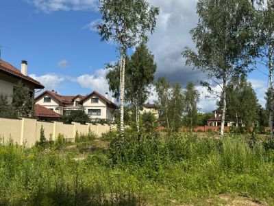 photo 68e5213ee6788_thumb.jpg