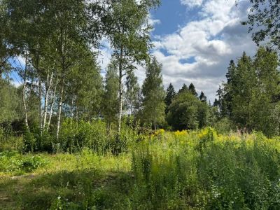 photo 68e5208e52134_thumb.jpg