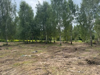 photo 68e520be17bda_thumb.jpg