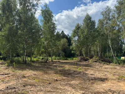 photo 68e520c63ad8e_thumb.jpg