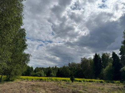 photo 68e520c69041d_thumb.jpg