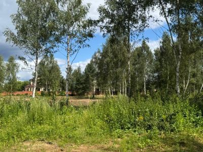 photo 68e520ce8e570_thumb.jpg