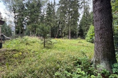 photo 68e8ceea3575d_thumb.jpg