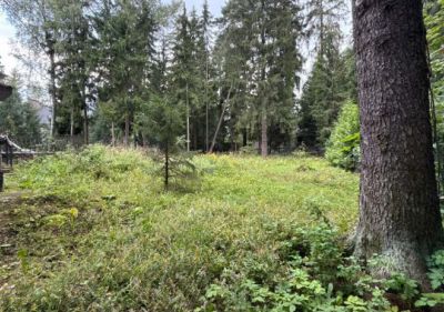 photo 68e8ceea75083_thumb.jpg