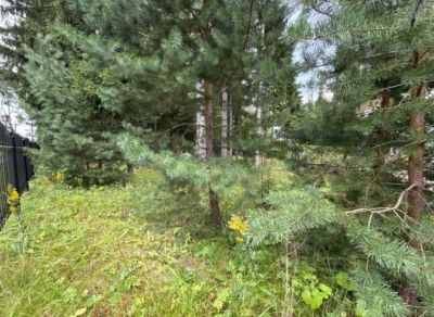 photo 68e8ceeba82ef_thumb.jpg