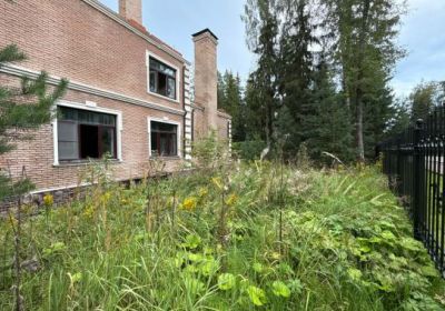 photo 68e8ceecce5cb_thumb.jpg