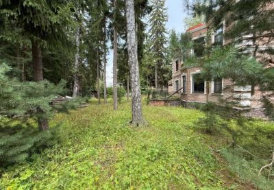 photo 68e8ceee1647b_thumb.jpg