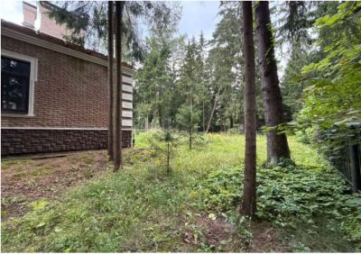 photo 68e8ceef43251_thumb.jpg