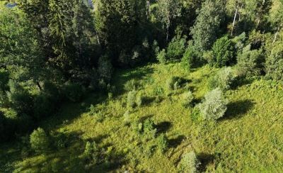 photo 68e90bf2d9e67_thumb.jpg