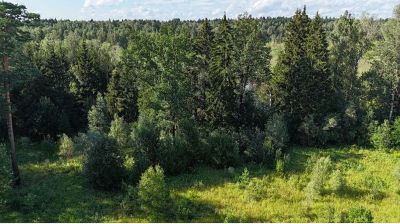 photo 68e90bf31d2dd_thumb.jpg