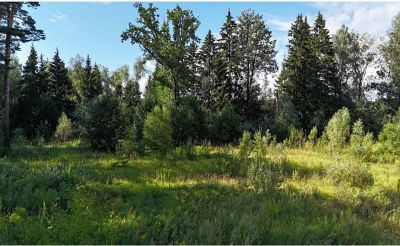 photo 68e90bf369bd8_thumb.jpg