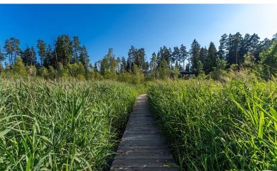 photo 68e90bf40a2c4_thumb.jpg