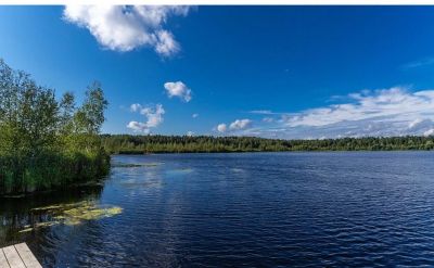 photo 68e90bf4ab5ea_thumb.jpg