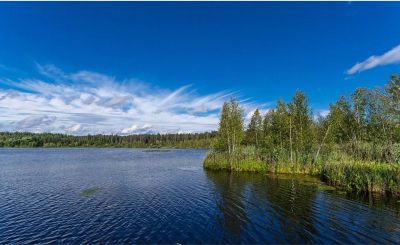 photo 68e90bf50d8f4_thumb.jpg