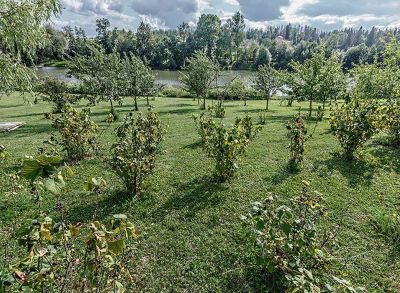 photo 68ecb7b9bfe3f_thumb.jpg