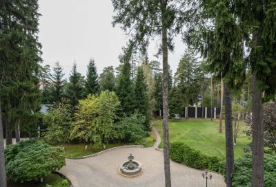 photo 68eccf4979580_thumb.jpg