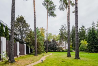 photo 68eccf94ce1c1_thumb.jpg