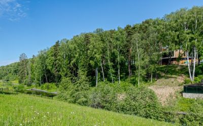 photo 68ecf71e61527_thumb.jpg