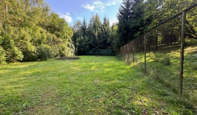 photo 68ed1a144f5b5_thumb.jpg