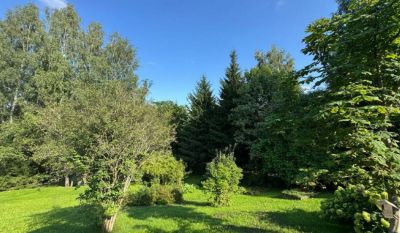 photo 68ed1a149e86c_thumb.jpg