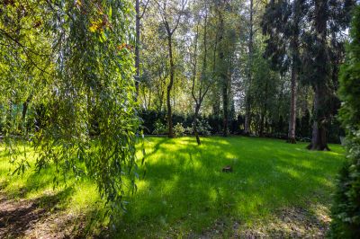 photo 68ee326ead169_thumb.jpg