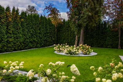 photo 68ee329058054_thumb.jpg