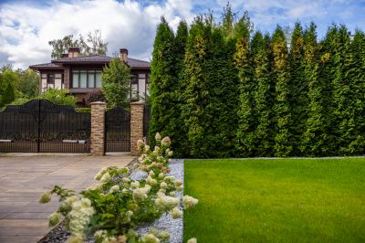 photo 68ee329298f98_thumb.jpg