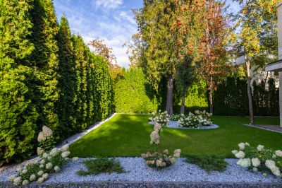 photo 68ee33902b436_thumb.jpg