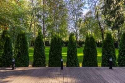 photo 68ee33aa54b63_thumb.jpg