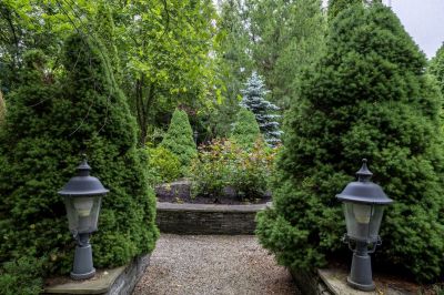 photo 68ef7a36d84e6_thumb.jpg