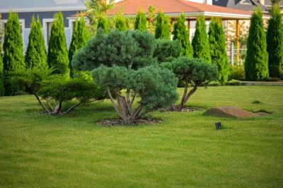 photo 68f61930b7824_thumb.jpg