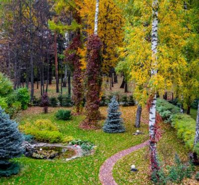 photo 68f62f9de2d2a_thumb.jpg