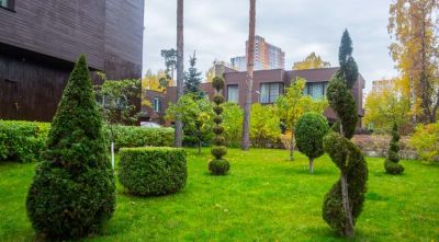 photo 68f62f9f0cc91_thumb.jpg