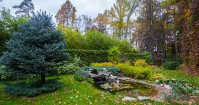 photo 68f62fa0ac3f0_thumb.jpg