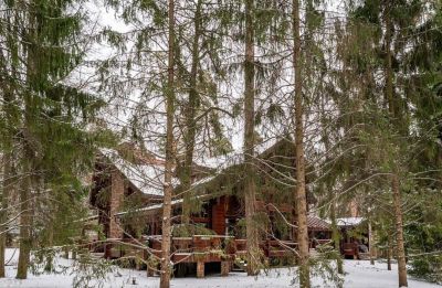 photo 68f63becc692e_thumb.jpg