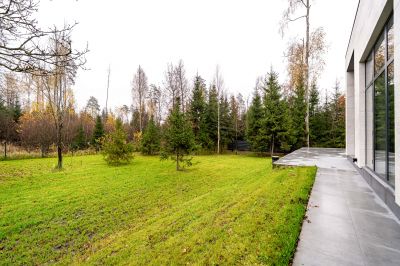 photo 6901c2691382f_thumb.jpg