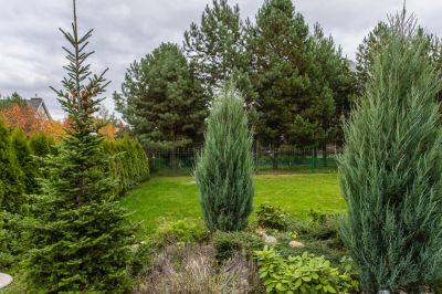 photo 68f8e2111fac9_thumb.jpg