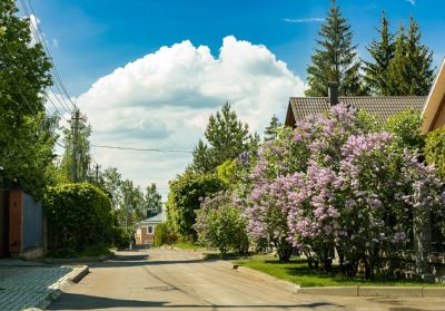 photo 68f9e3907005d_thumb.jpg