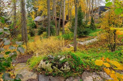 photo 68fb5300c0da7_thumb.jpg