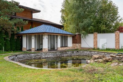 photo 68fb727c48ec5_thumb.jpg