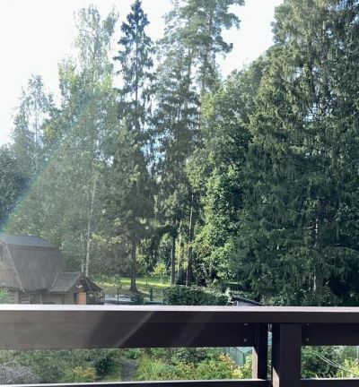 photo 68fbb1eb472a6_thumb.jpg