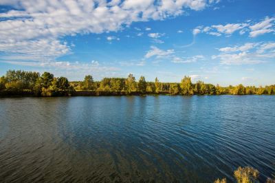 photo 68ff3ccbeab0a_thumb.jpg