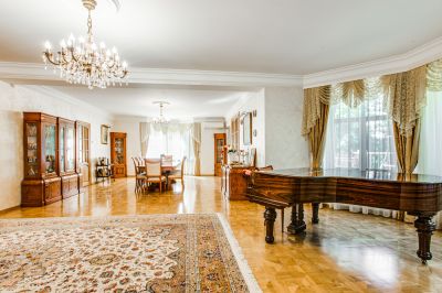 photo 68ff3ccece230_thumb.jpg