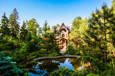 photo 68ff3cd8a5956_thumb.jpg