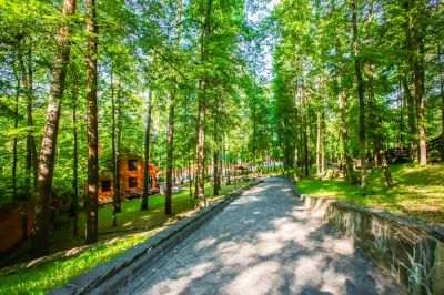 photo 68ff3cd9a1814_thumb.jpg