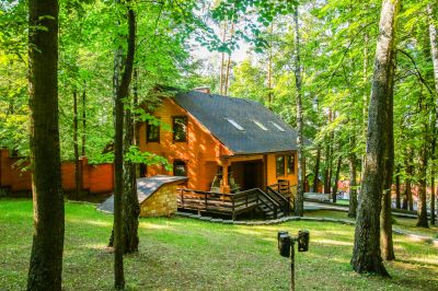 photo 68ff3cda28299_thumb.jpg